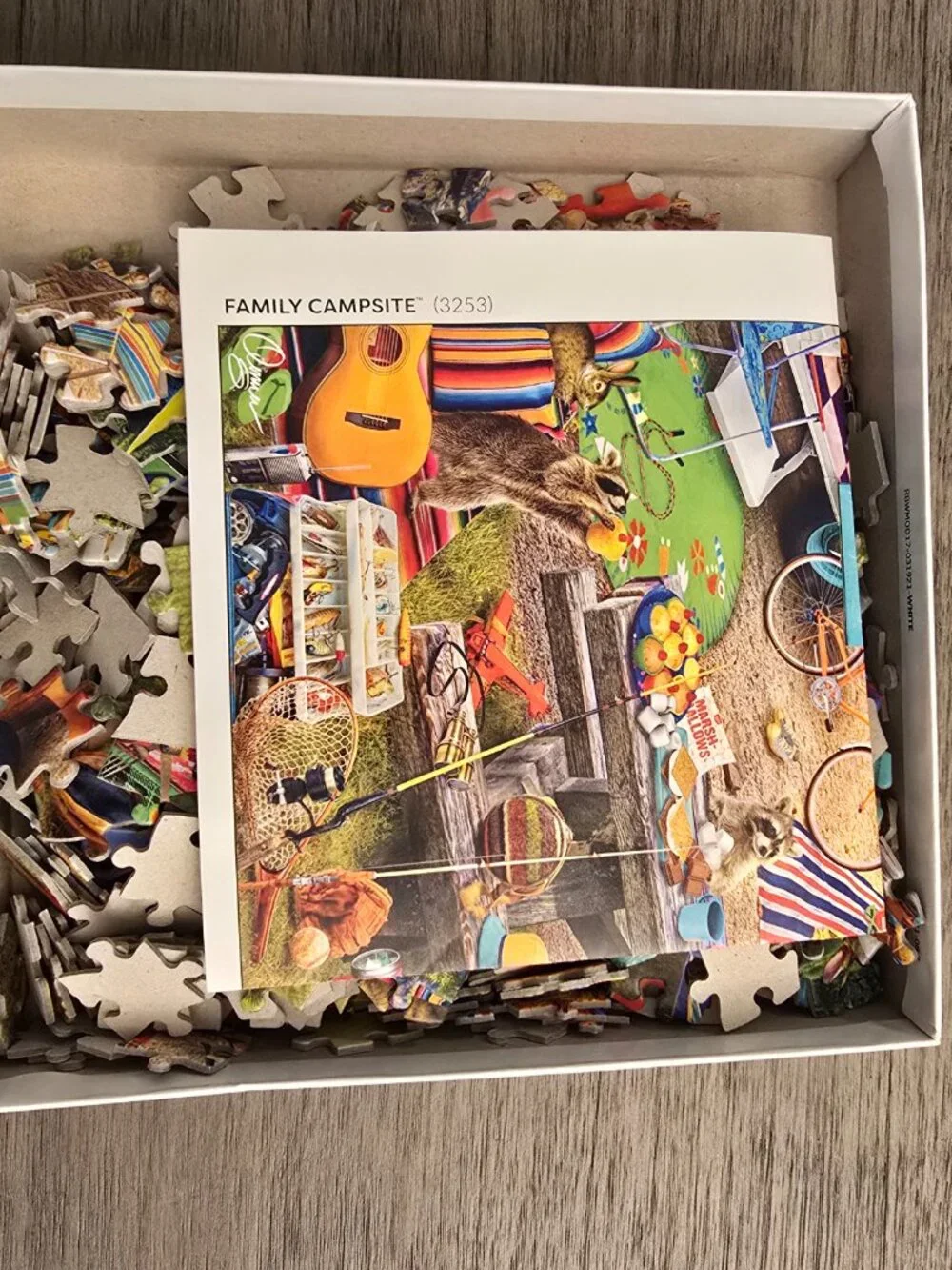 500 Piece Jigsaw Puzzle Hidden Images Camping Beach